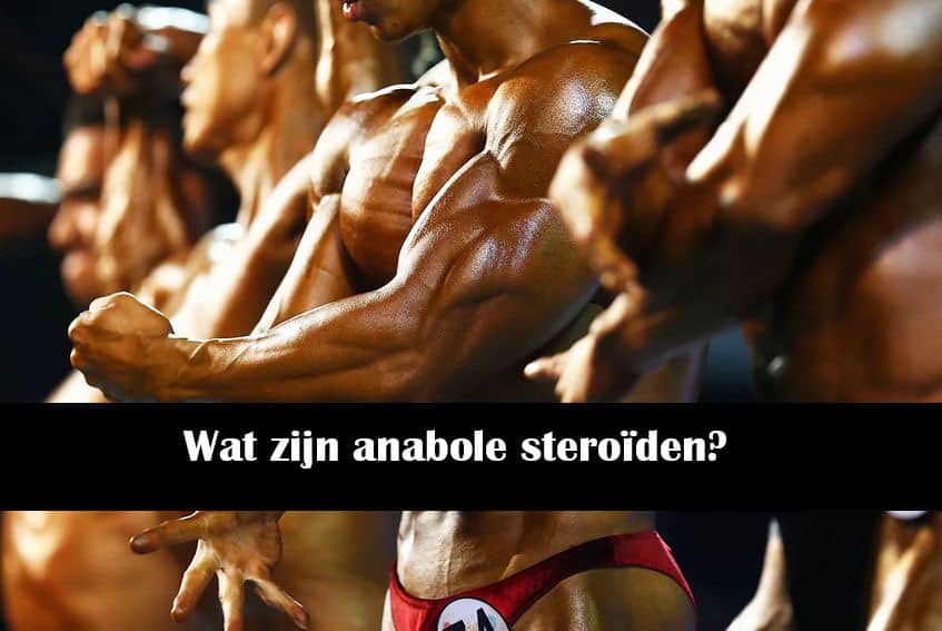 Wat zijn anabole steroïden? -anabol-nl.com