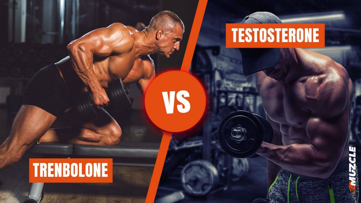 Testosteron versus trenbolon: was het beter?