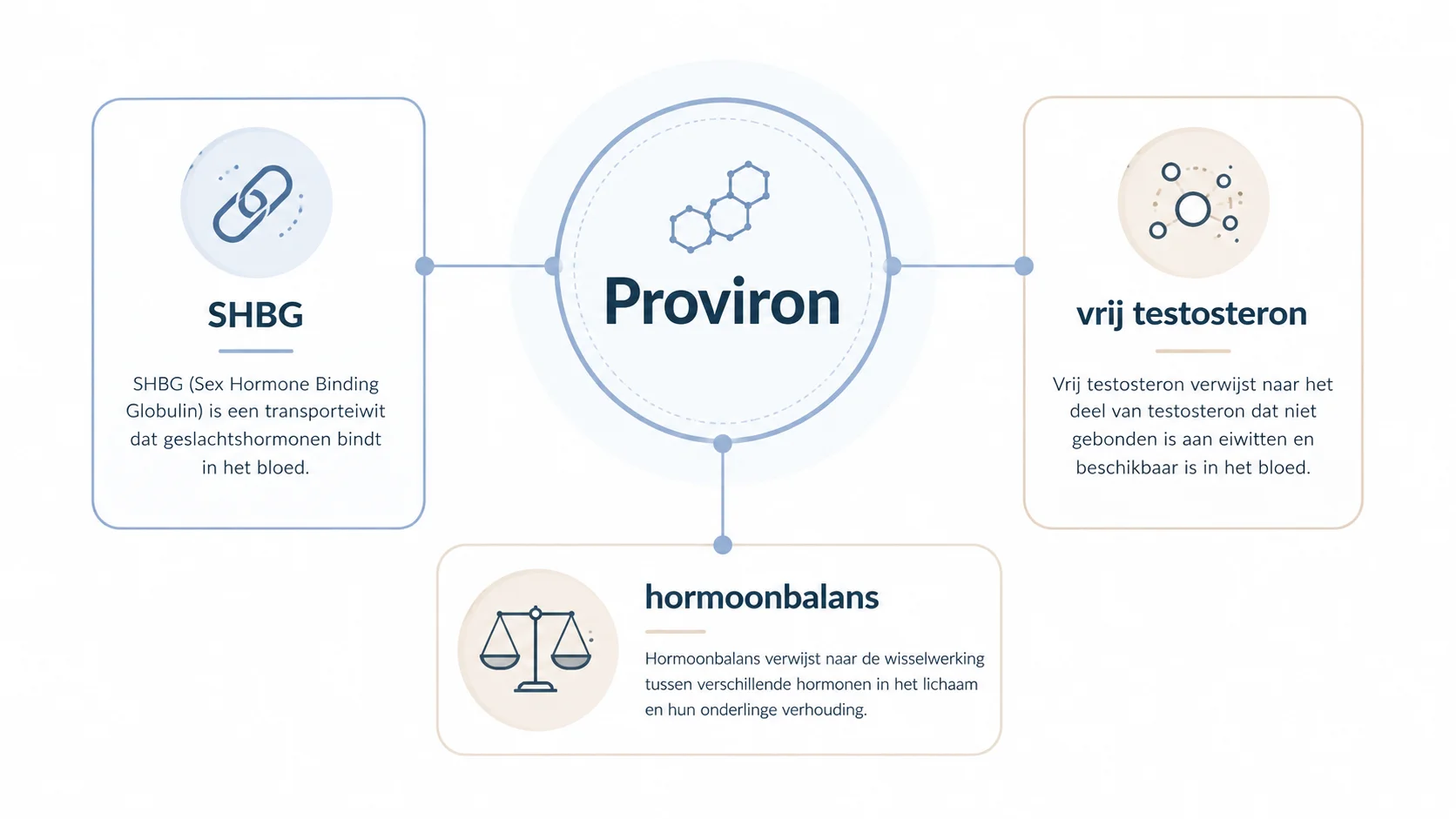 Schematische uitleg van Proviron in relatie tot SHBG en vrij testosteron